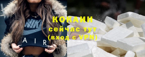 стаф Аркадак