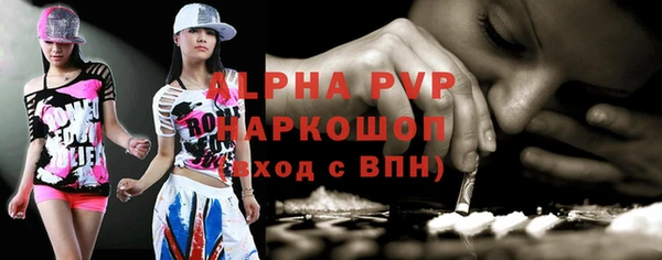 стаф Аркадак