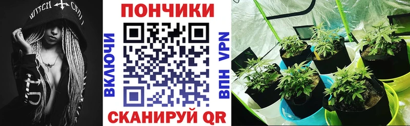 гидра ссылки  Галич  Бошки марихуана ГИДРОПОН  как найти наркотики 
